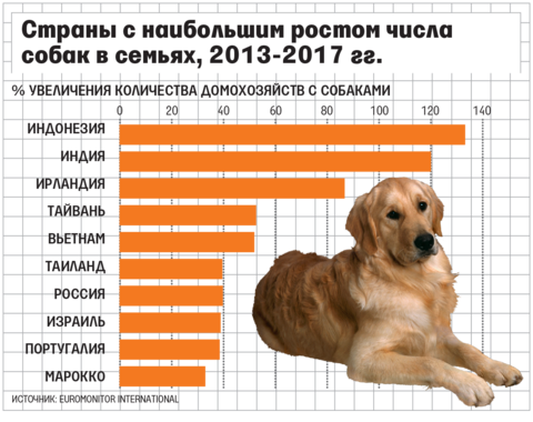 Количество собак. Количество собак в России. Сколько в России владельцев домашних животных. Статистика количество собак в семье. Число собак по странам.