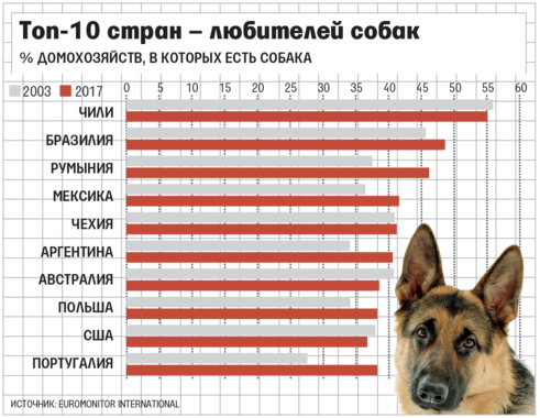 Числа собаку. Численность собак. Статистика по домашним животным. Статистика собак. Количество собак в мире по странам.