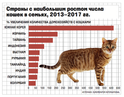 Продолжительность жизни кошек