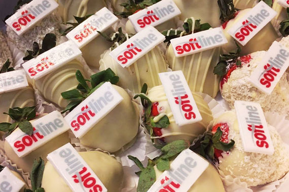 Холдинг Softline перед IPO проведет крупнейшее размещение бондов в истории российского IT-рынка. Он выпустит облигации на общую сумму 10 млрд руб.