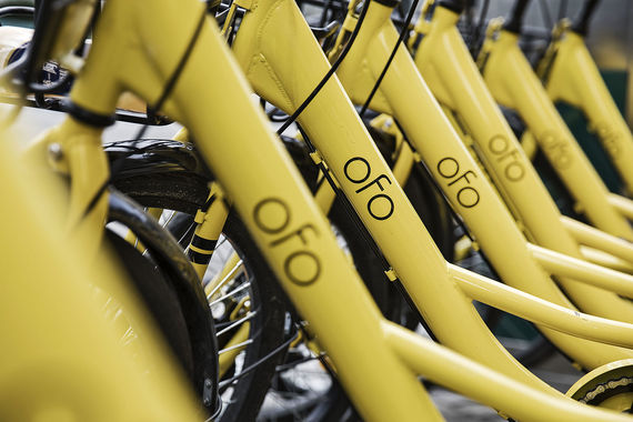 В России появится китайский система велопроката Ofo