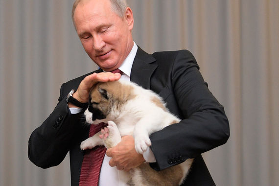 Путину подарили щенка по имени Верный