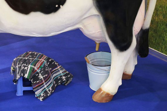 normal 1k43 Основанный Лужковым агрокомплекс утроит производство молока с новым владельцем