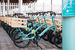 Посетителей парка ждут 500 грузовых велосипедов Bianchi