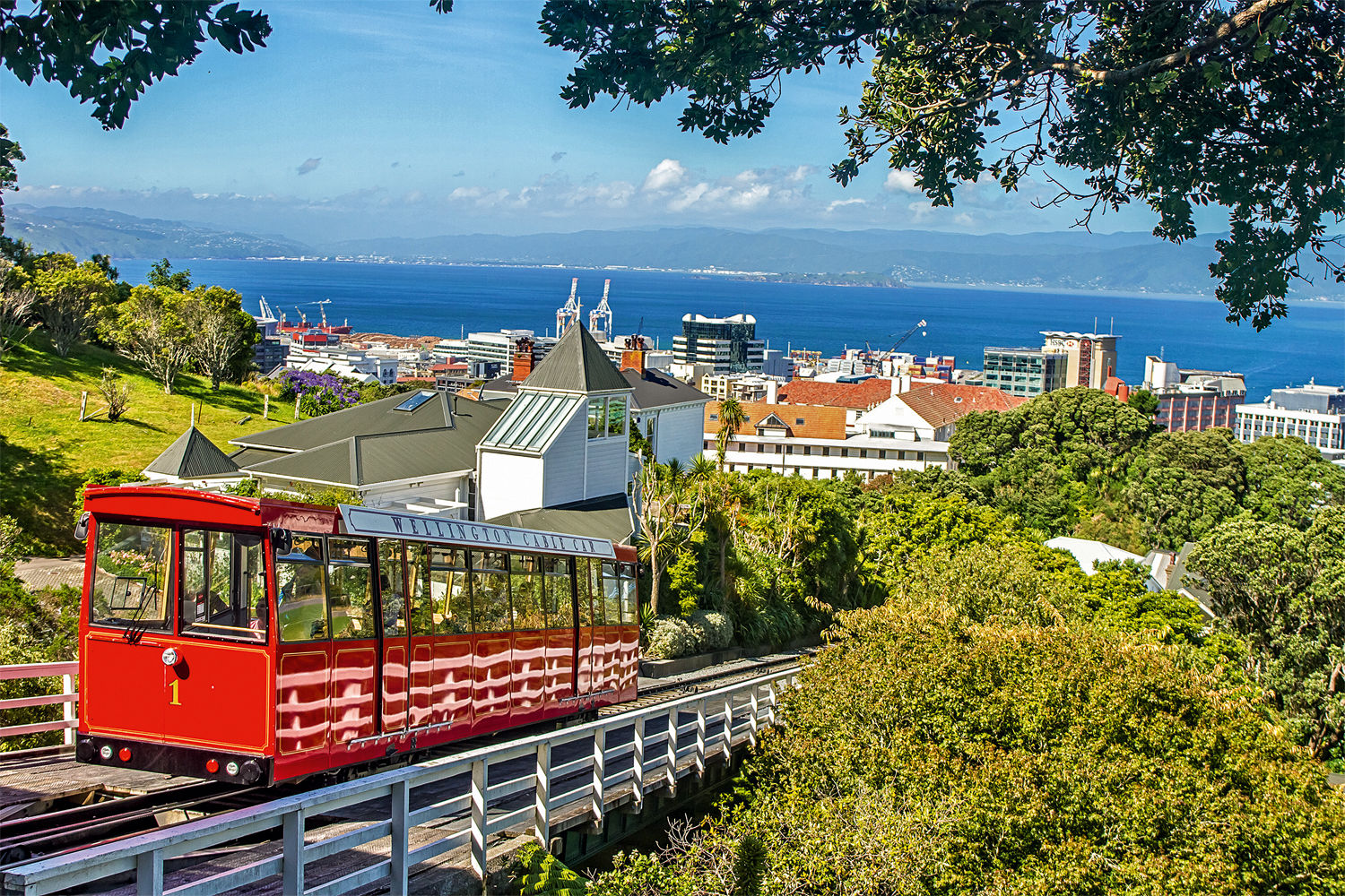 Поездка на трамвайчике длится всего несколько минут, но позволяет любоваться Веллингтоном с высоты птичьего полета