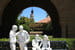 3-е место: Stanford University (США), 66.599 балла