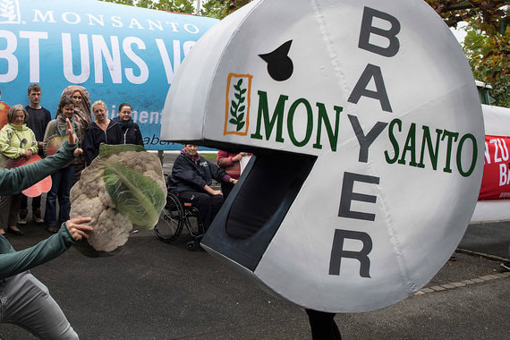 Bayer подал в суд на ФАС России из-за сделки с Monsanto