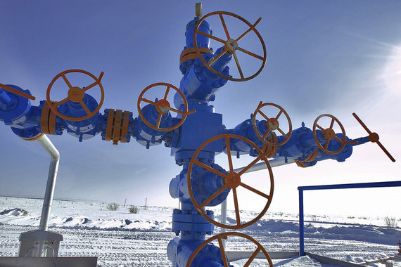 Газохимический комплекс в Усть-Луге будет состоять из газоперерабатывающего завода (ГПЗ) мощностью до 45 млрд куб. м газа в год