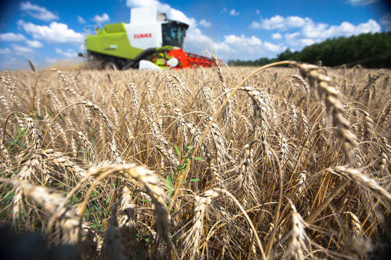 normal 103 Третий год подряд Россия может собрать свыше 120 млн т зерна