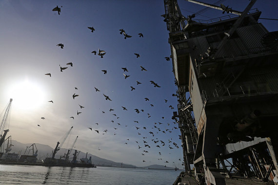 Новороссийский морской торговый порт