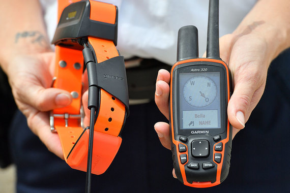 ФСБ узаконила GPS-трекеры