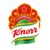 Knorr