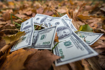 США придется платить почти $1 трлн за обслуживание госдолга