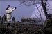 Игорь Волошин - “Сука” (2001) Фильм о войне. Получил приз IDFA за лучший дебют