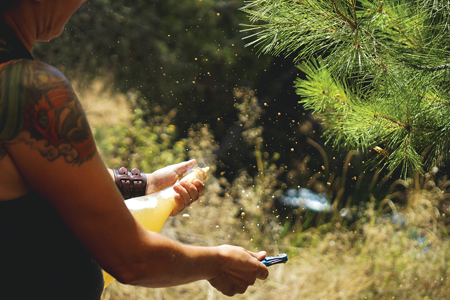 Название петнат (Pet-Nat) образовано из двух французских слов: «petillant» — игристое и «naturel» — натуральное, природное
