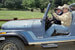«Джип»Автопроизводитель Jeep входит в концерн FCA (Fiat Chrysler Automobiles) – седьмой по величине автопроизводитель в мире, по собственным данным. Прототип будущего джипа, Willys MA, появился в 1941 г. – он стал победителем тендера на первый полноприводный разведывательный автомобиль. В 1950-е для военных в период корейской войны Jeep создал новую модель, а параллельно перешел в гражданский сегмент. В 1980-е одна из моделей Jeep прославилась как машина президента США Рональда Рейгана. На фото Рональд Рейган и Михаил Гобачев в 1992 г.