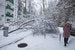 На Москву в выходные обрушился сильный снегопад. Сугробы превысили рекордную за эту зиму отметку, за сутки выпало более половины месячной нормы осадков