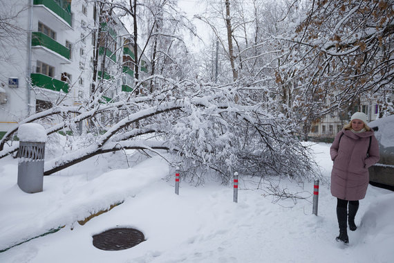 На Москву обрушился снегопад
