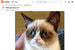 История Grumpy Cat началась 22 сентября 2012 г., когда в блоге на Reddit появились фотографии кошки с необычной мордочкой. Кошка породы сноу-шу всегда выглядела так, словно чем-то недовольна. Часть пользователей предположили, что это отредактированные снимки, но затем хозяева опубликовали видео с животным на YouTube. Ролик с грустной кошкой за сутки набрал более 1 млн просмотров (на момент подготовки галереи – свыше 21 млн)