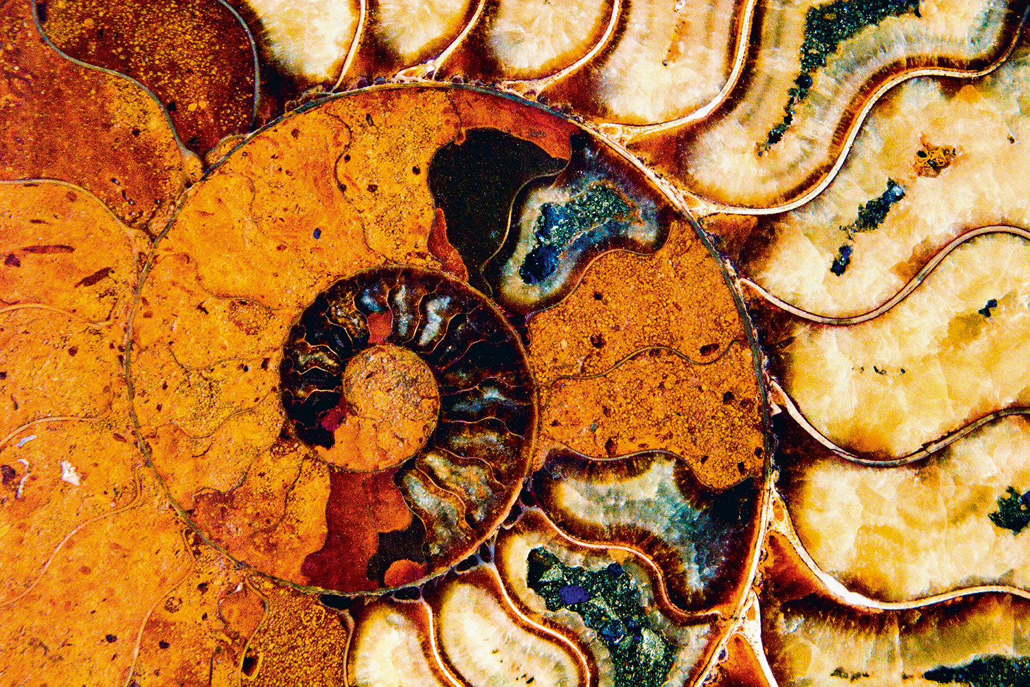 Идея палеодизайна прежде всего прекрасна своей неагрессивной сущностью: никого не нужно убивать ради красоты