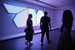ГМИИ им. А. С. Пушкина открывает выставку «Коллекция Fondation Louis Vuitton. Избранное». В нее вошли 65 произведений искусства из коллекции французского миллиардера Бернара Арно. Все они демонстрируются в России впервые