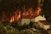 Тушение огня осложняется сильными порывами ветра и жаркой погодой