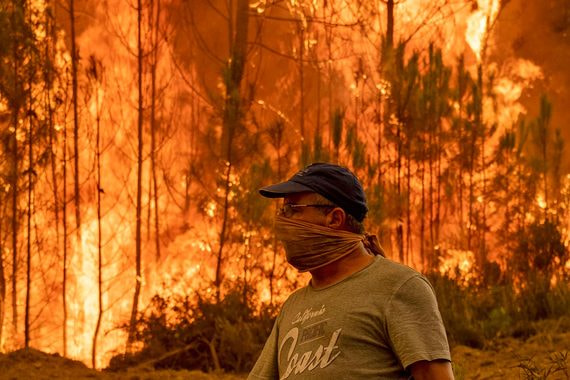 Пожары в Португалии. Фотографии