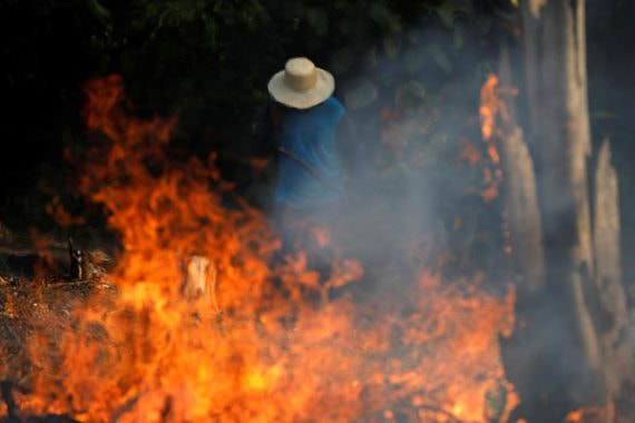 Пожары в тропических лесах Амазонки. Фотографии