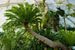 3. Royal Botanic Gardens, Kew Gardens* Число посетителей в 2018 г.: 1 858 513 человек
