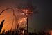 16 сентября 2019 г. Пожары в джунглях Амазонки, Бразилия