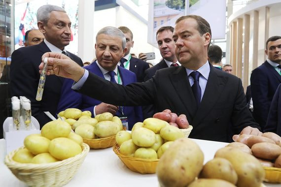 Медведев осмотрел достижения народного хозяйства. Фоторепортаж с выставки «Золотая осень»