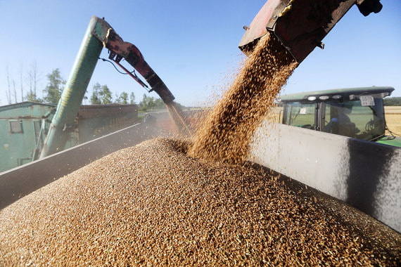 normal 1ru7 В России появился новый крупный экспортер зерна