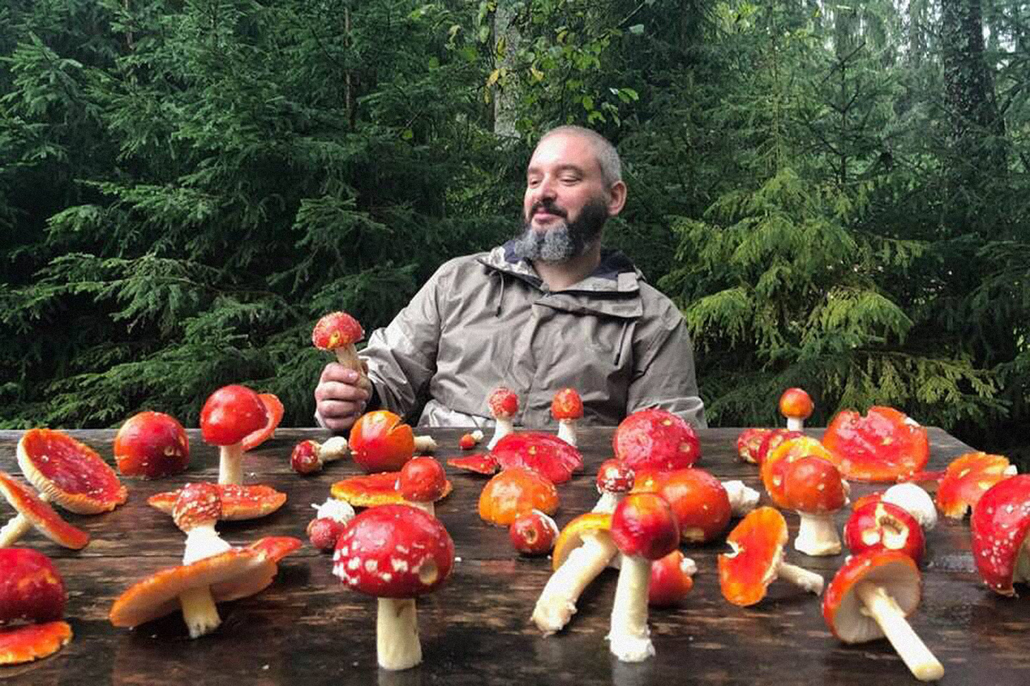 Миколог Михаил Вишневский планирует открыть музей мухоморов