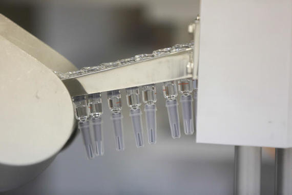 «Вектор» сообщил об успехе трех прототипов вакцины в защите от коронавируса