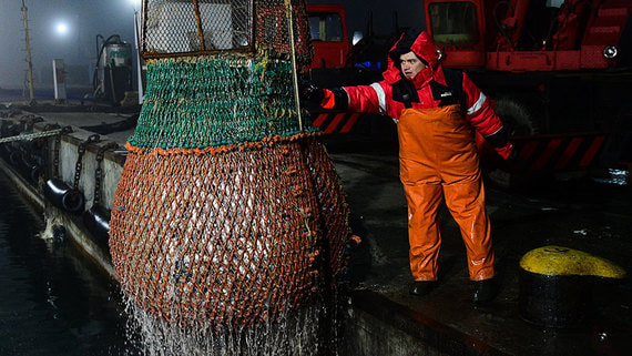 Компания Глеба Франка предложила правительству реформу рыбной отрасли