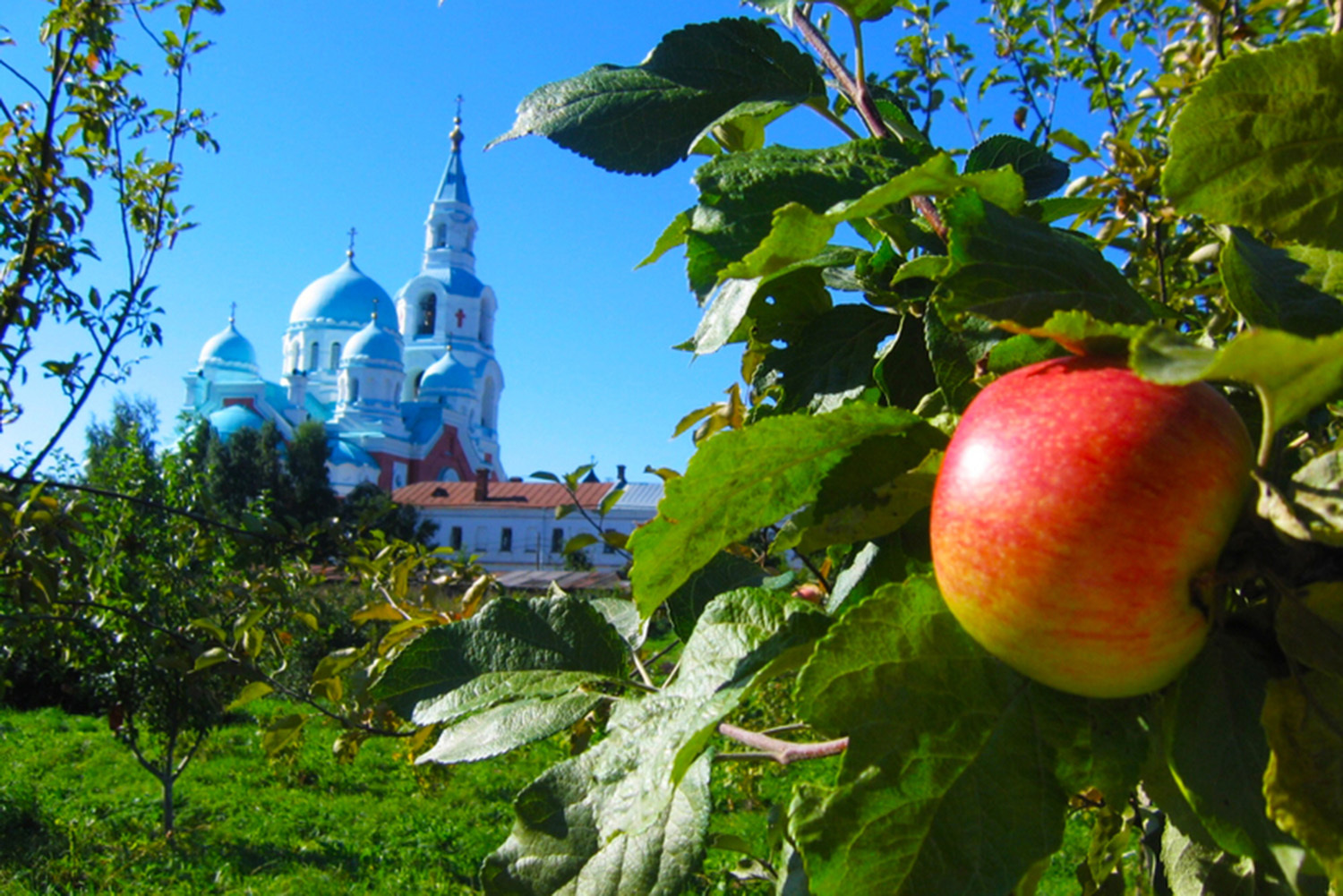 Первое, что видит путник, ступивший на Валаам, — это сад у подножия монастыря, основанный несколько веков назад прямо на камнях