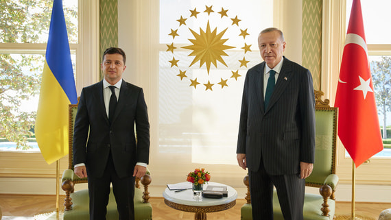 Эрдоган заверил Зеленского в поддержке территориальной целостности Украины