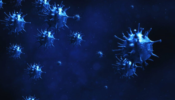 Ученые из США нашли слабое место у коронавируса
