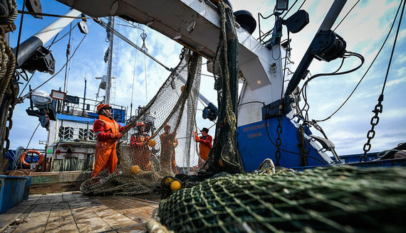 Рыбодобытчики на Севере приостанавливают промысел из-за претензий ФСБ