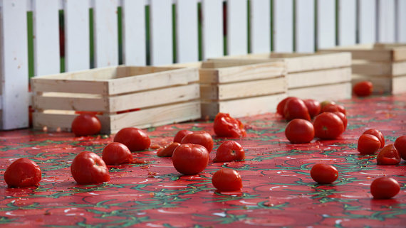 Песков прокомментировал запрет на ввоз томатов из Армении и Азербайджана