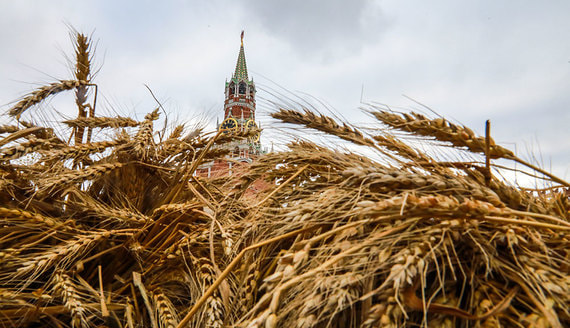 Правительство России хочет ввести пошлину на экспорт пшеницы