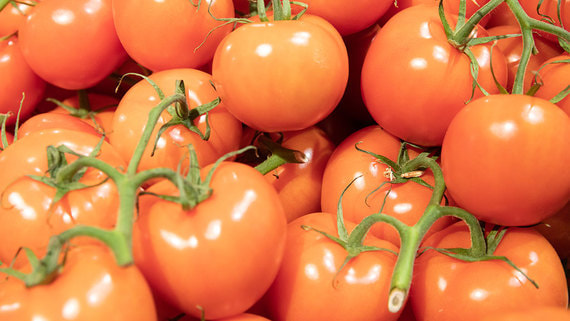Россия частично сняла ограничения на ввоз томатов из Азербайджана