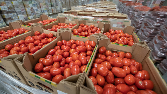 Россия смягчит ограничения на ввоз томатов из Азербайджана