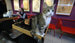 И работникам котокафе, и их посетителям необходимо соблюдать строгие правила общения с кошками