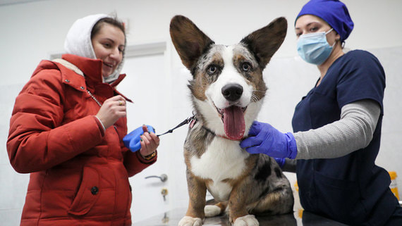 Mars будет управлять ветеринарными клиниками в России