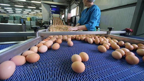 Россияне могут столкнуться с дефицитом яиц