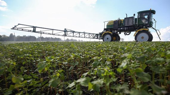 Аграрии предупредили о возможном снижении урожайности