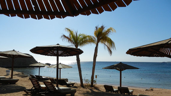 Туроператоры просят правительство устранить монополию на рейсах в Египет