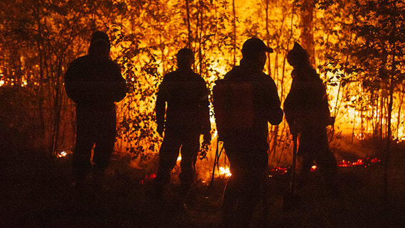 Лесные пожары на востоке страны попали в зону внимания Владимира Путина