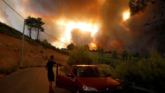 Власти Турции взяли под контроль все лесные пожары в стране